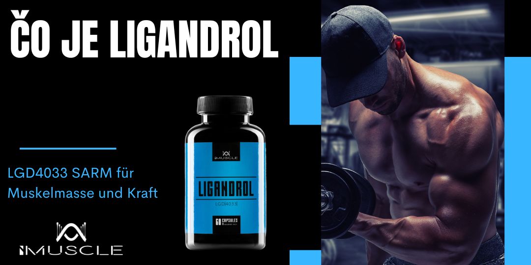 Čo je Ligandrol LGD4033?